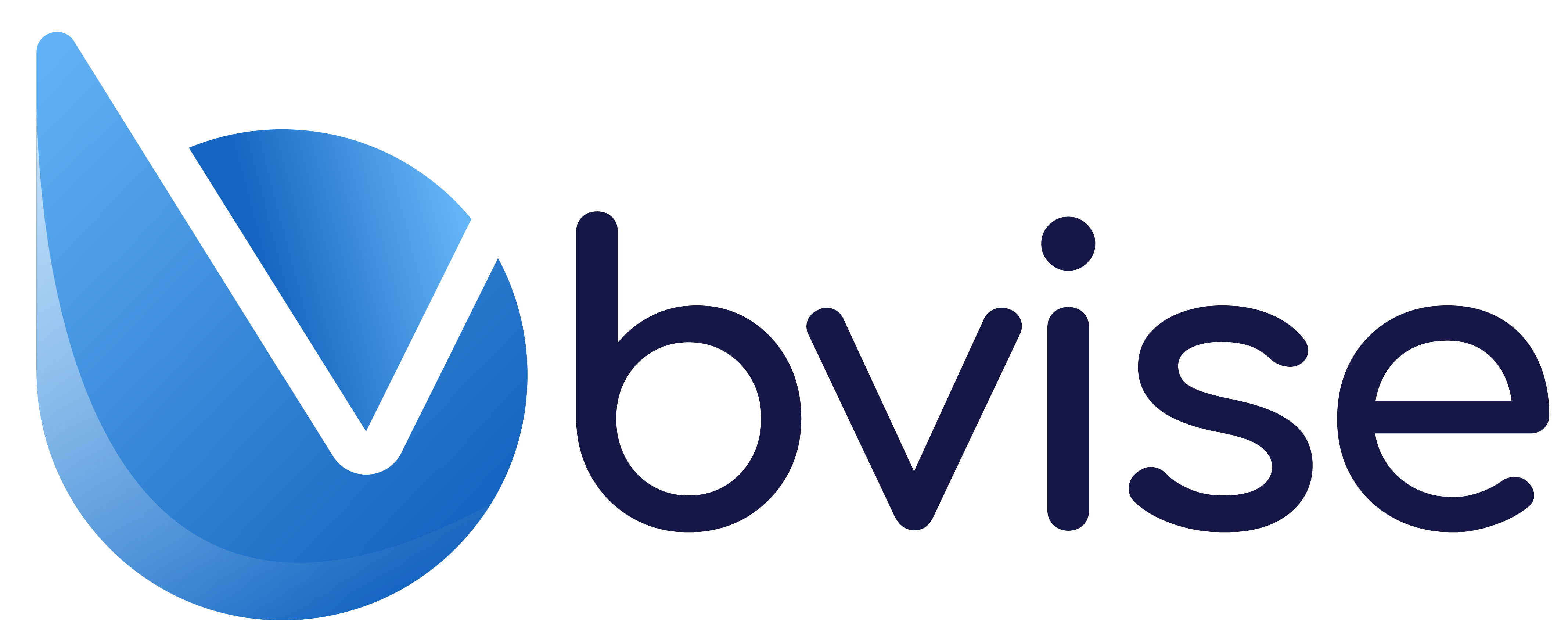 bvise GmbH